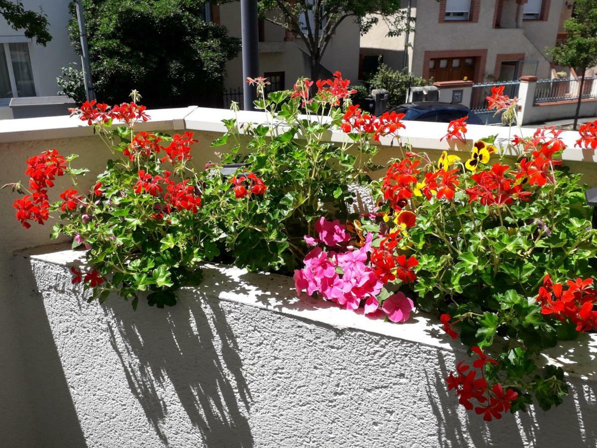 :) Grand Studio Lumineux A Toulouse Et Parking المظهر الخارجي الصورة